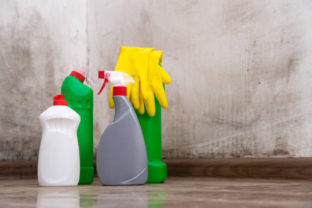 Professional Mold Removal in Center, TX